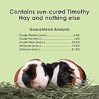 Vista 8 de Kaytee Heno Timothy, Alta Fibra, Crecido Específicamente para Animales Pequeños, Conejos, Cobayas, Chinchillas, 2 Libras