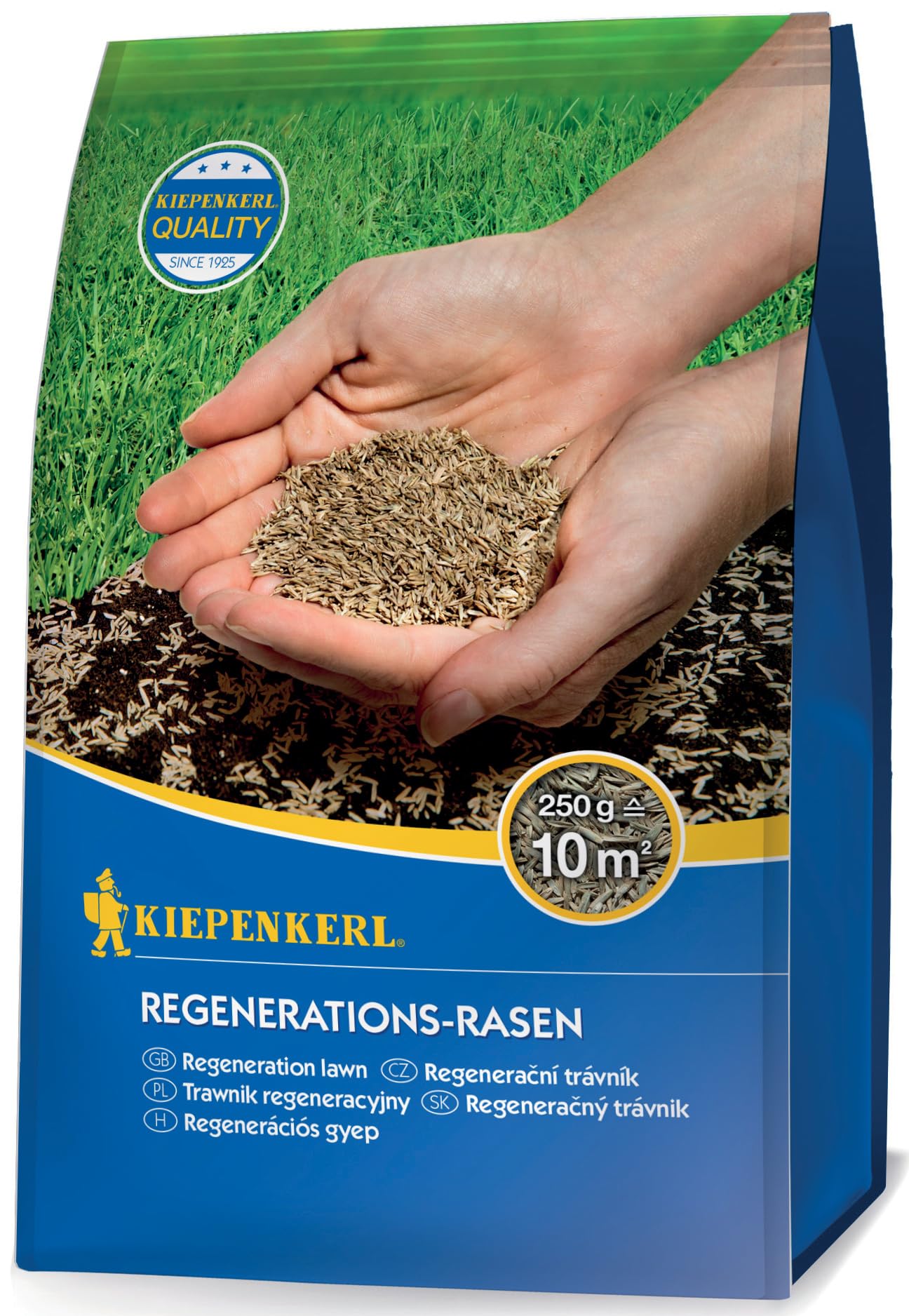 Kiepenkerl Regenerations-Rasensamen 651005, 0,25 kg - Hohe Regenerationsfähigkeit, schnelle Keimung, ideal für Rasenreparatur, robust und keimstark