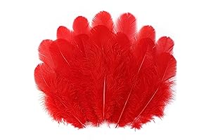 Soarer Red Craft Feathers Bulk - Perfect for Wings and Flourishes