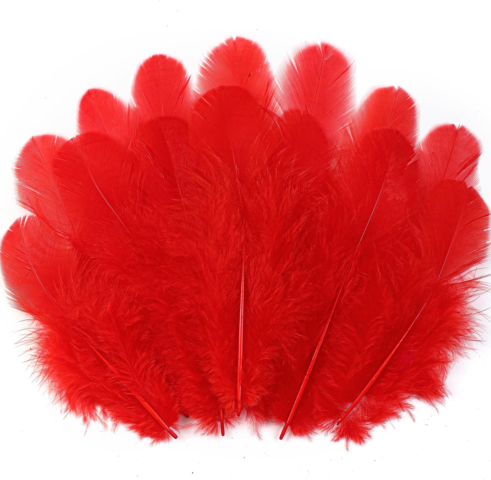 Soarer Red Craft Feathers Bulk - 300pcs 3-5inch Natural Feathers for Wedding Home Party, Dream Catcher Supplies and DIY Crafts(Red)