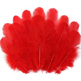 Soarer 300pcs Red Feathers Craft Natural Feathers 3-5 Inch