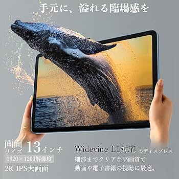 Amazon.co.jp: 【三年保証 13インチ 2K 90Hz大画面】Blackview MEGA8