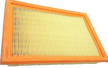 GOPINATH AUTOLINK CAR ENGINE AIR FILTER COMPATIBLE WITH SUNNY PETROL