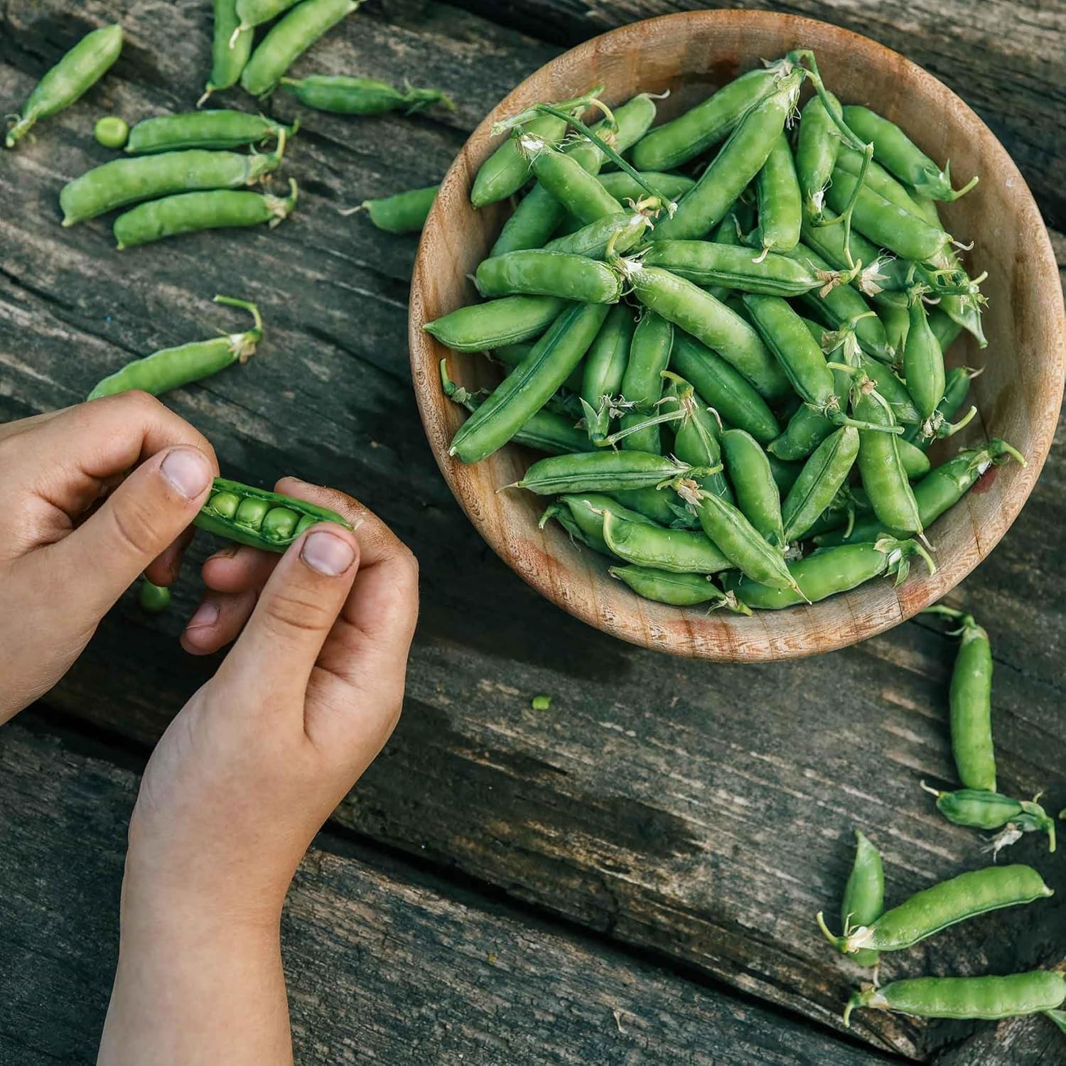 Eden Brothers Pea Seeds - Little Marvel
