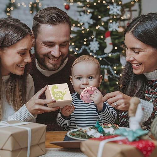 Miniatura 3 de Dino - Juguetes de dentición para bebés, mordedores de silicona de grado alimenticio para bebés de 0 a 18 meses, bolas sensoriales texturizadas,