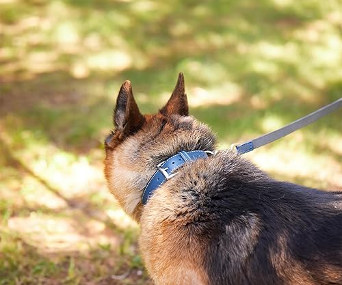 Miniatura 8 de TORRUNA Collar de perro de cuero genuino (XL cuello 19.7"-22.8", rojo)