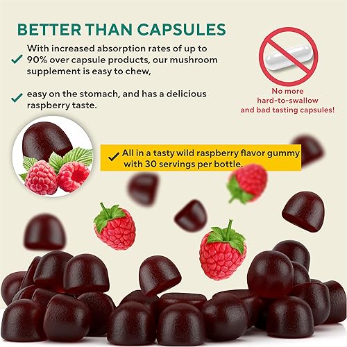 Miniatura 4 de Gomitas de suplemento de hongos orgánicos - Impulso de inmunidad, energía natural, apoyo cerebral y de memoria - Mezcla de 10 hongos - 60 gomitas -