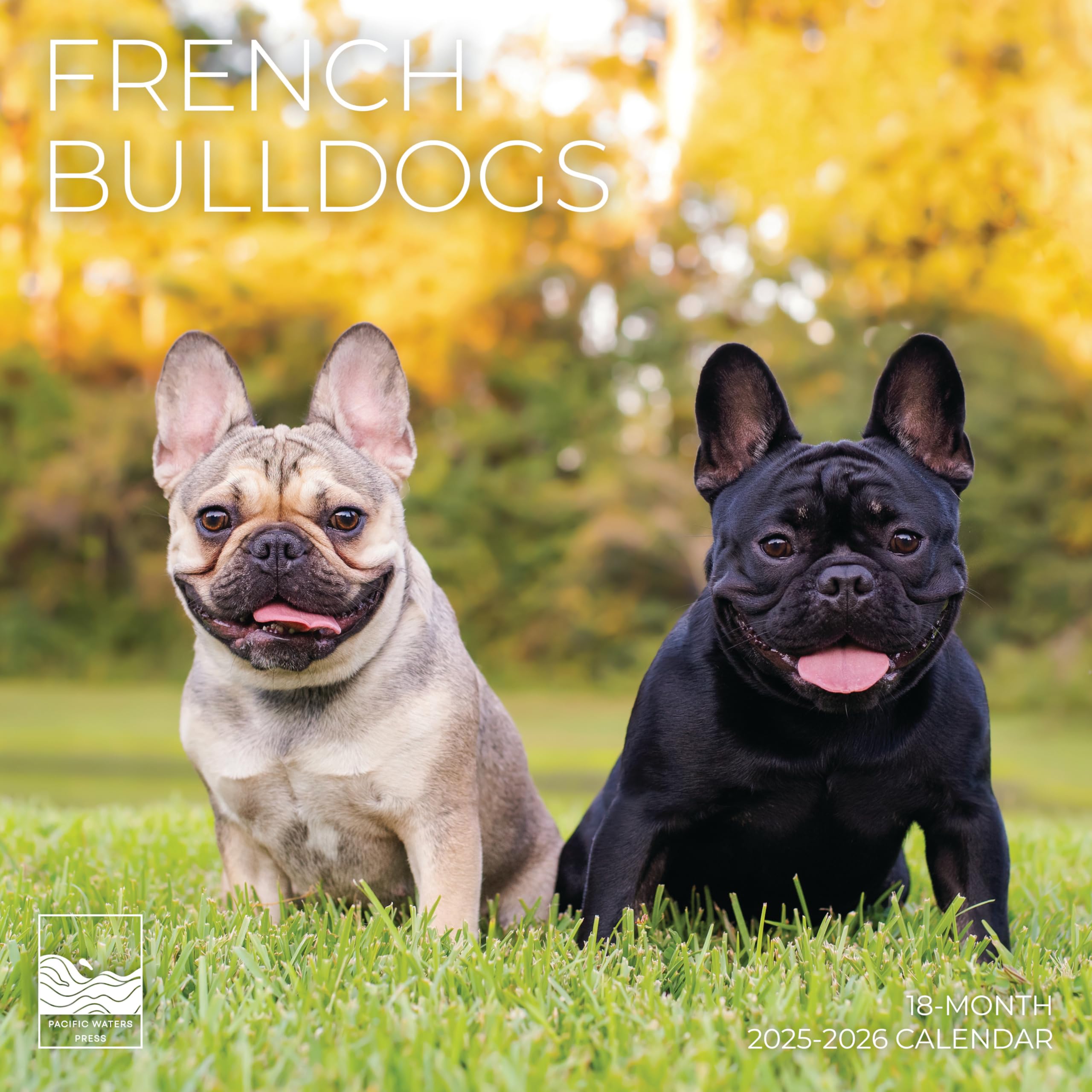 French Bulldog Wall Calendar 2026 | 12" x 24" Open | Giftable Dog Calendar 2026 | Thick & Sturdy Paper for Organizing & Planning | Pacific Waters