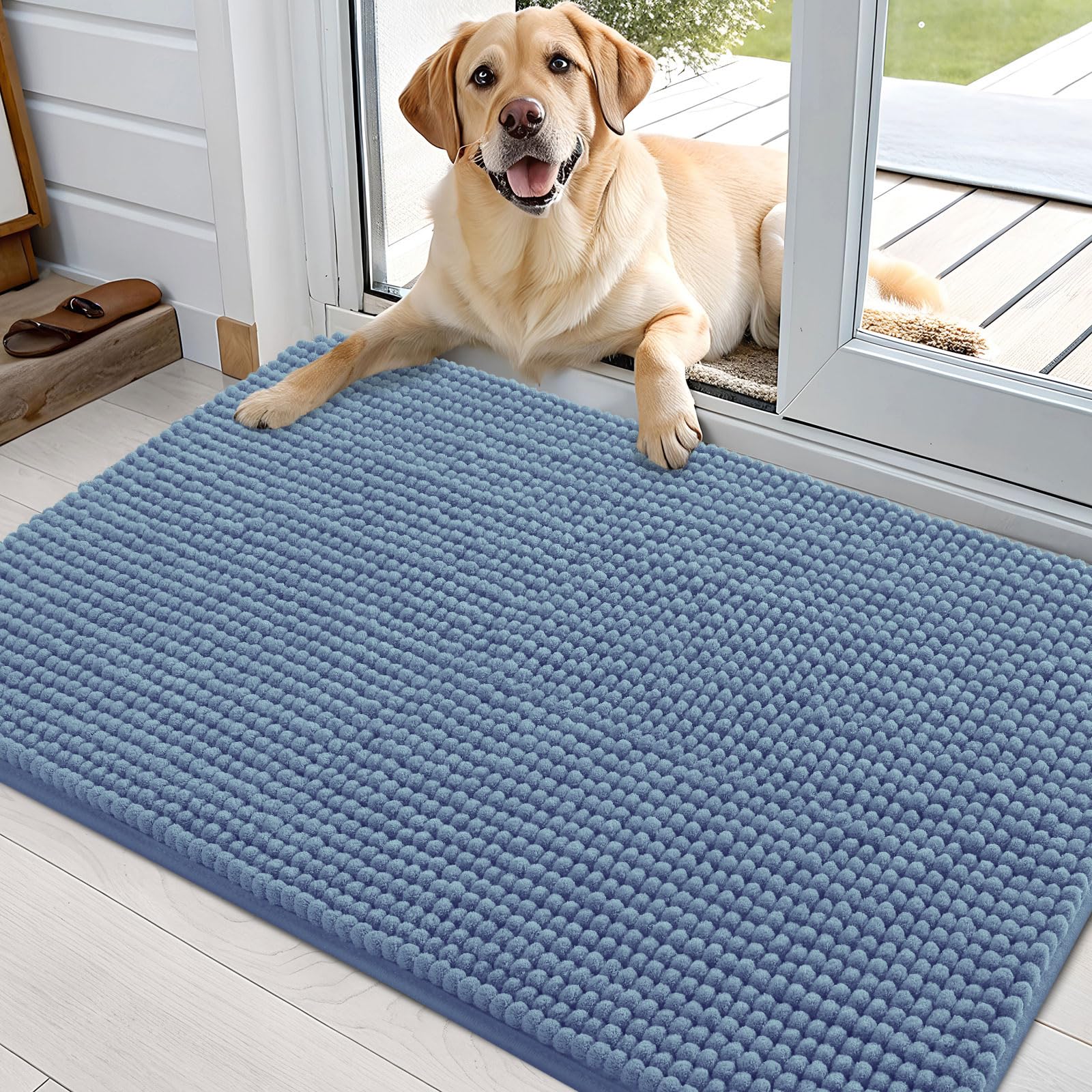 OLANLY Dog Door Mat for Muddy Paws 36x24, Absorbent Chenille Mud Doormat