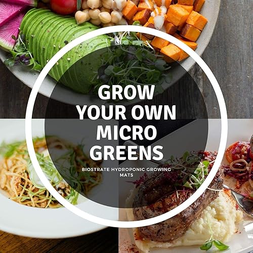 Miniatura 6 de Micro-Mat Minis - Almohadillas hidropónicas de cultivo - para producción orgánica - germinación de plantas y semillas pasto de trigo, microverdes,