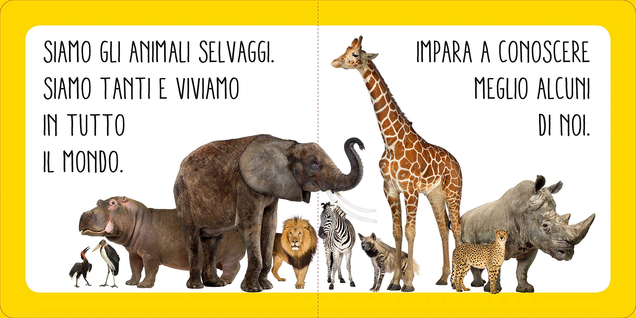 Animali selvatici. Libro sonoro. Ediz. a colori