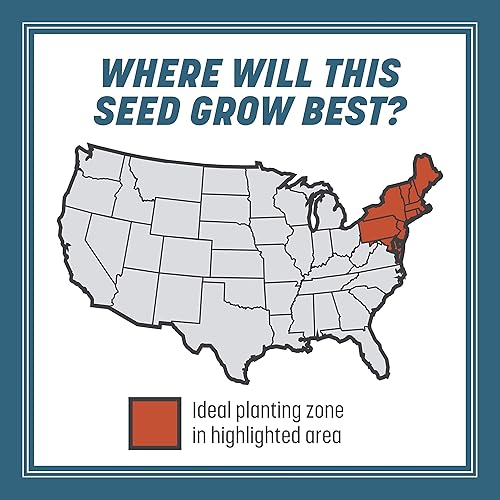 Miniatura 7 de Pennington Smart Seed Northeast Grass Mix 20 libras, resistente a la sequía y cubre 6,600 pies cuadrados