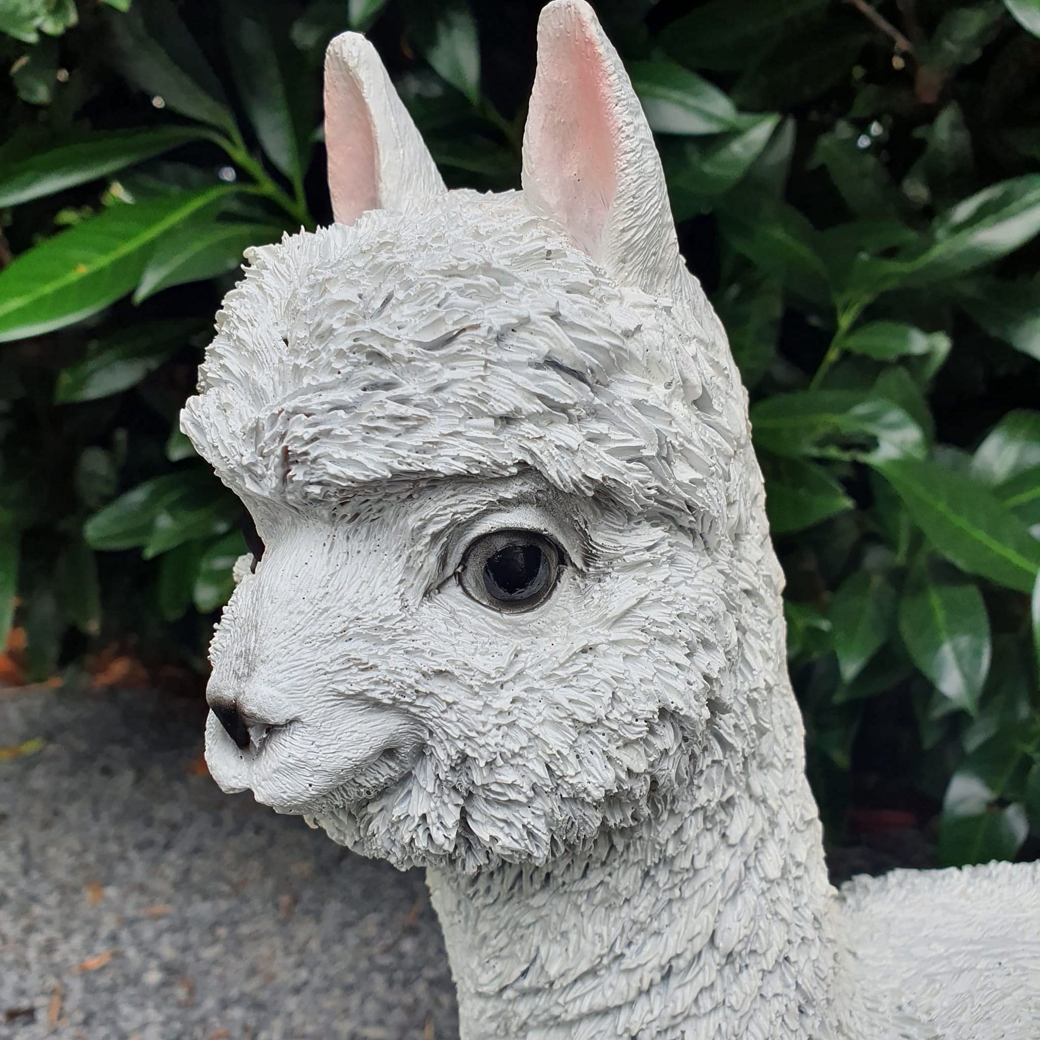Gartenfigur Alpaka 45 cm crème-weiß stehend mit aufrechtem Hals – Lammfigur naturnah, Bauernhof Tierfigur Kunstharz wetterfest