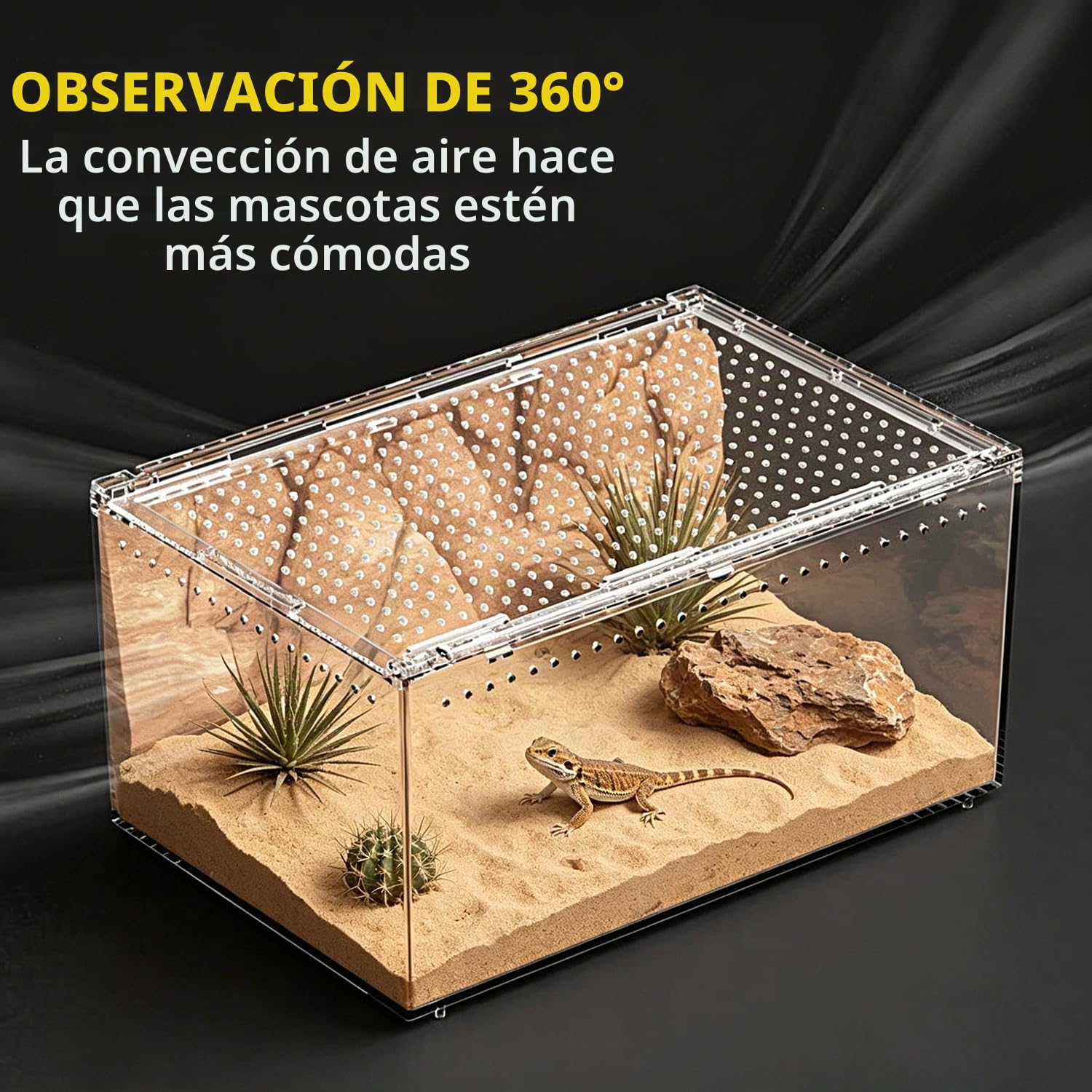 Terrario para Reptiles PC, Recinto para Tarántulas, Tanque para Arañas con Botón Magnético. Terrario para Lagartos de 30x20x15 cm, Tanque de Cría de Reptiles para Insectos, Peces, Cangrejos Ermitaños