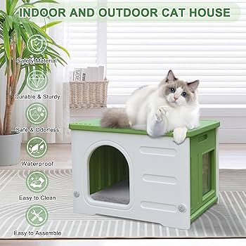 Amazon.com : Plastic Cat House for Outdoor Indoor Use, Feral