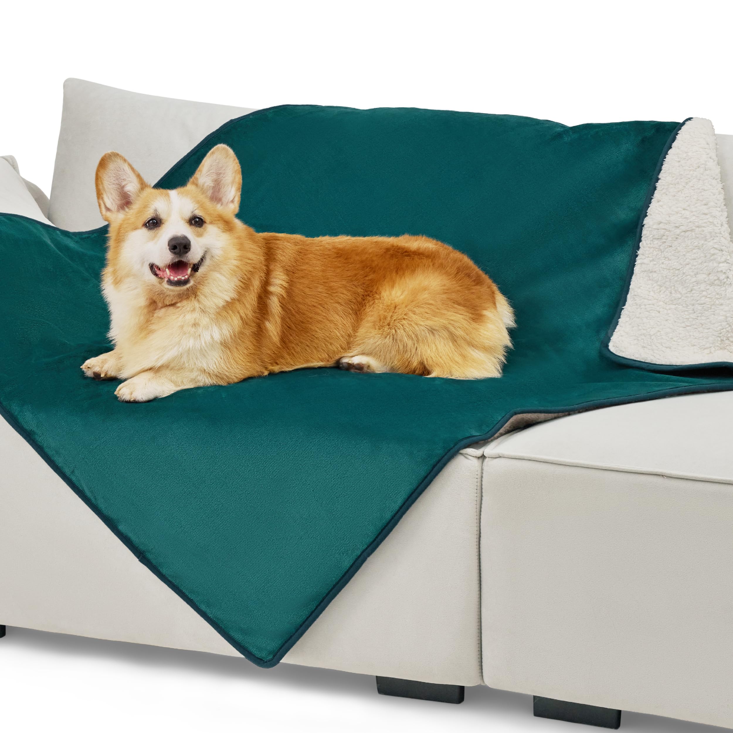 Coperta Impermeabile Per Cani E Gatti - Anti Pipì, Lavabile, Per Divano E Auto - Foto 8