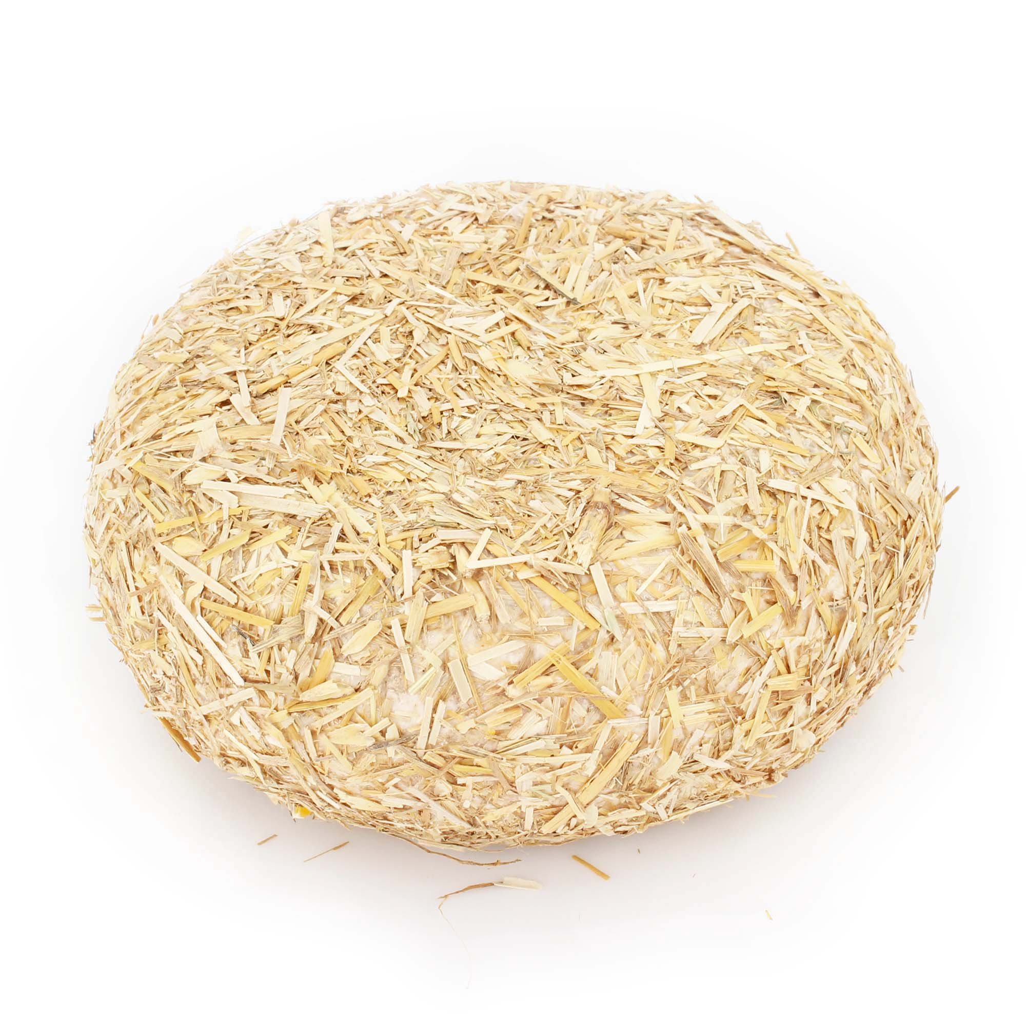 Ganzer Käselaib 1,5 kg - PAGLIERINO - PECORINO TOSCANO DOP aus CASENTINO - Im HEURINDE gereift - 6 MONATE - Käse aus BERGSCHAFMILCH - Direkt aus Italien