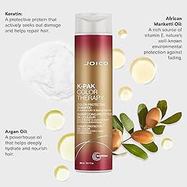 Joico K-PAK Color Therapy Color-Protecting Shampoo | For Color-Treated Hair | Boost Shine | Improve Elasticity | Repair Breakage | Rebuild Damaged Hair | With Keratin & Argan Oil | 10.1 Fl Oz
