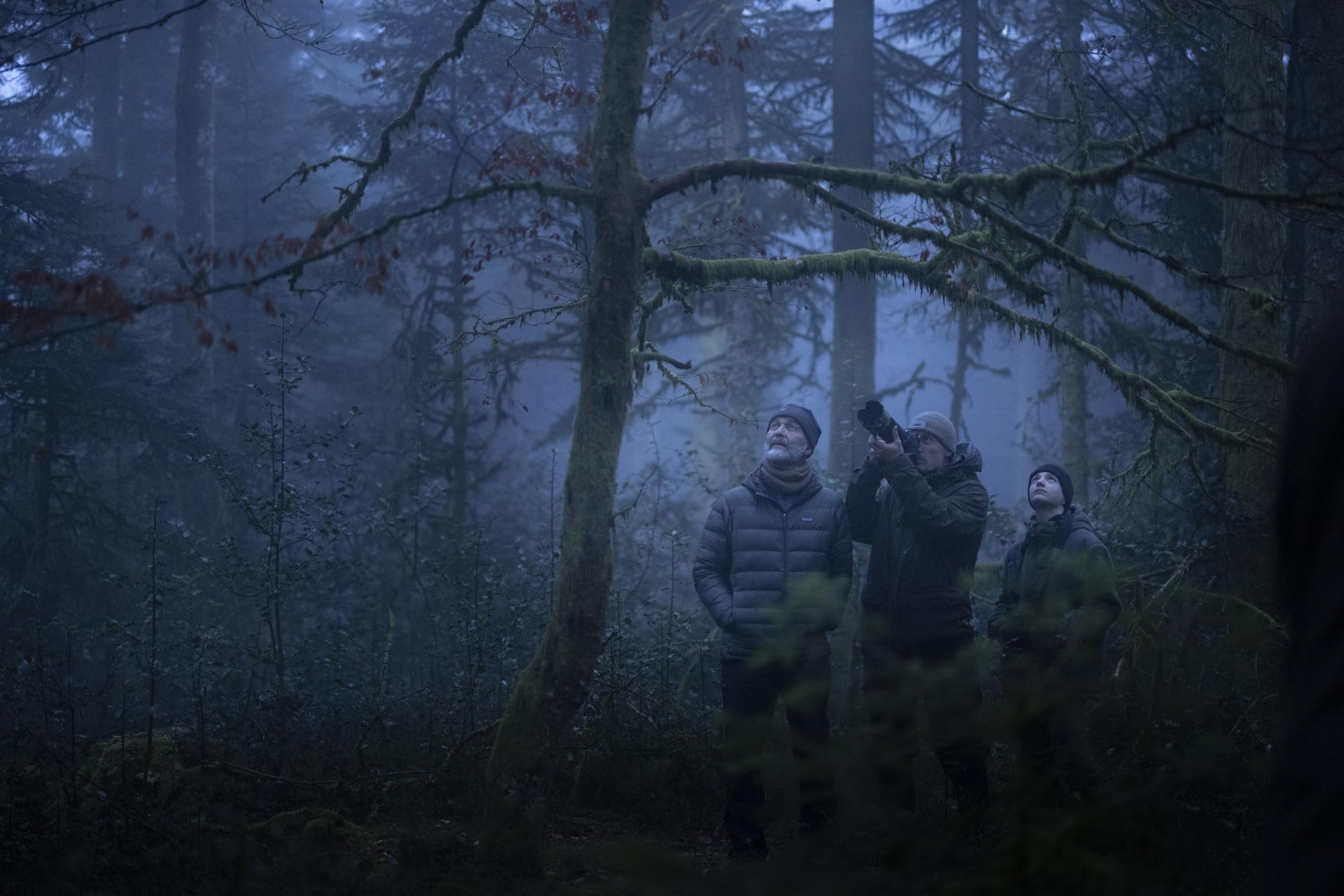 Le chant des forêts - Combo dvd + Blu-ray