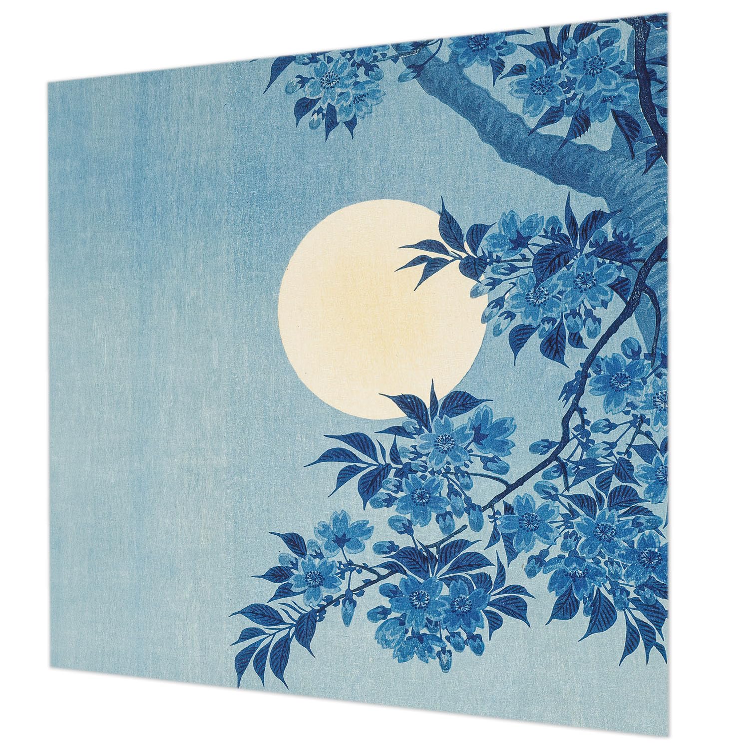 Tapisserie intissée 250x250 lune des fleurs pose murale facile