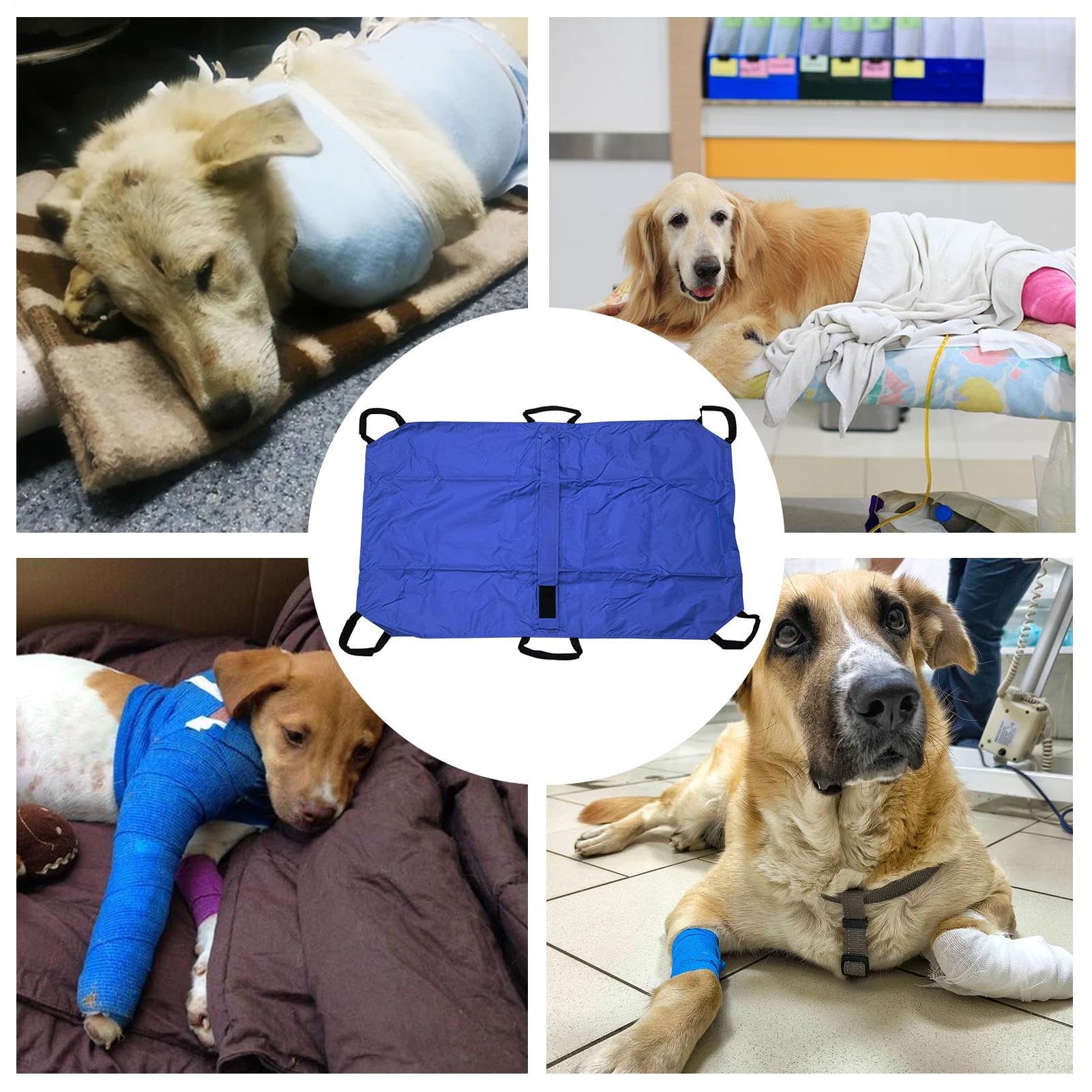 Civière de Transport pour Animaux – Brancard Pliable Haute Capacité avec Sangle de Sécurité | Chats, Chiens, Lapins | Levage, Secours Vétérinaire