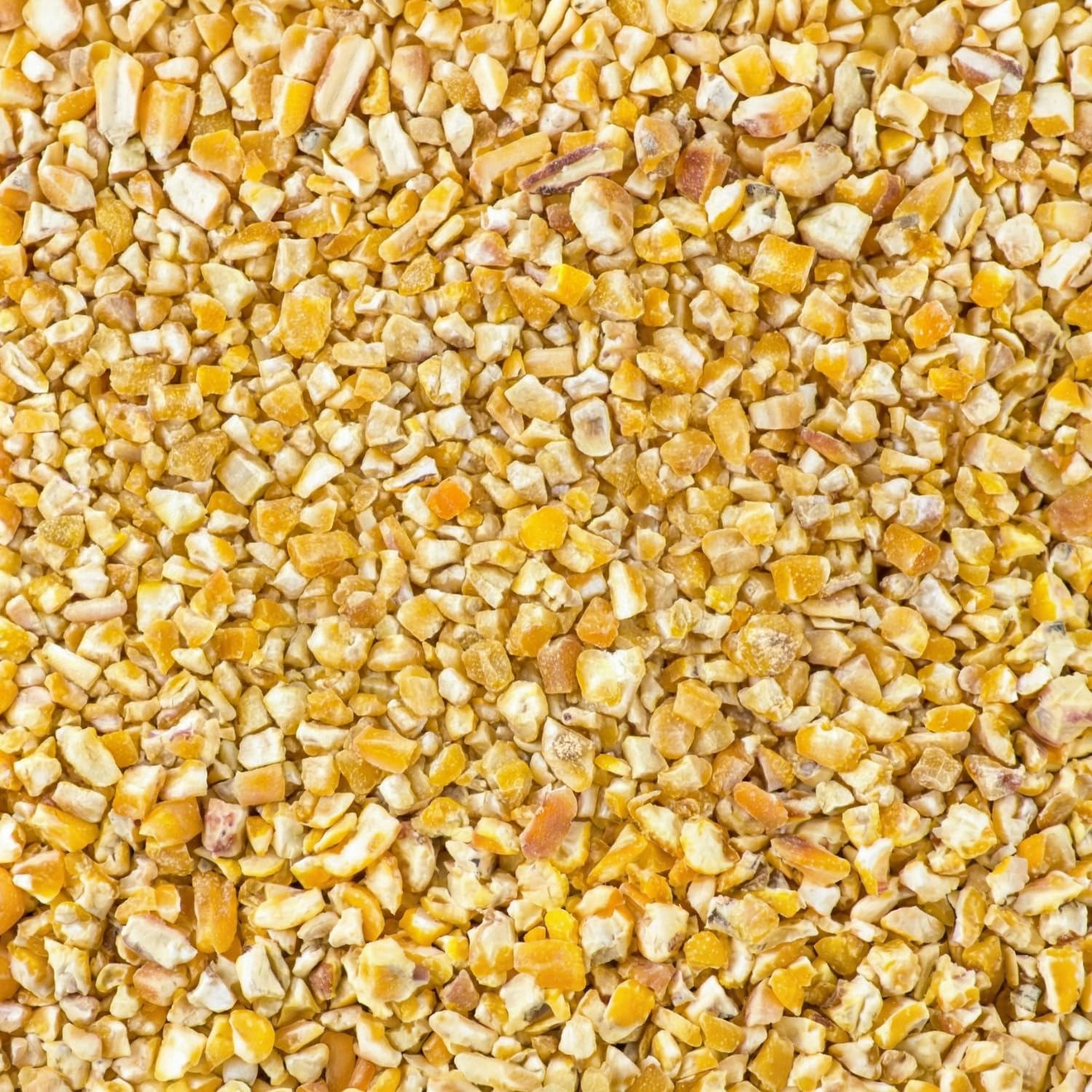 Agrarzone Mais Biologico Spezzato Grosso 20 kg - Mangime Bio per Galline e Quaglie - Mais Frantumato per Pulcini e Pollame - Selezionato e Depolverato - Senza OGM dall'Austria