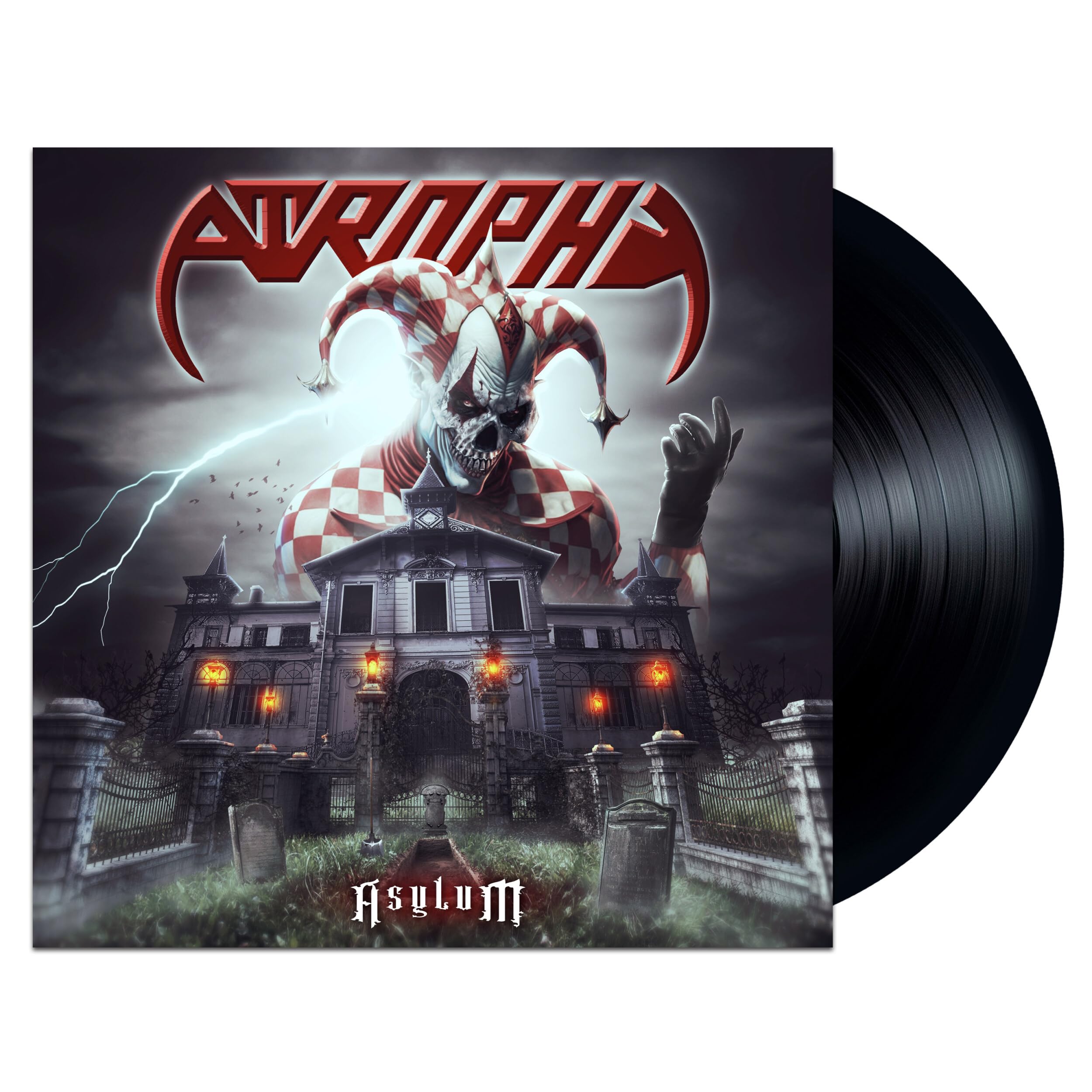 Asylum [VINYL]