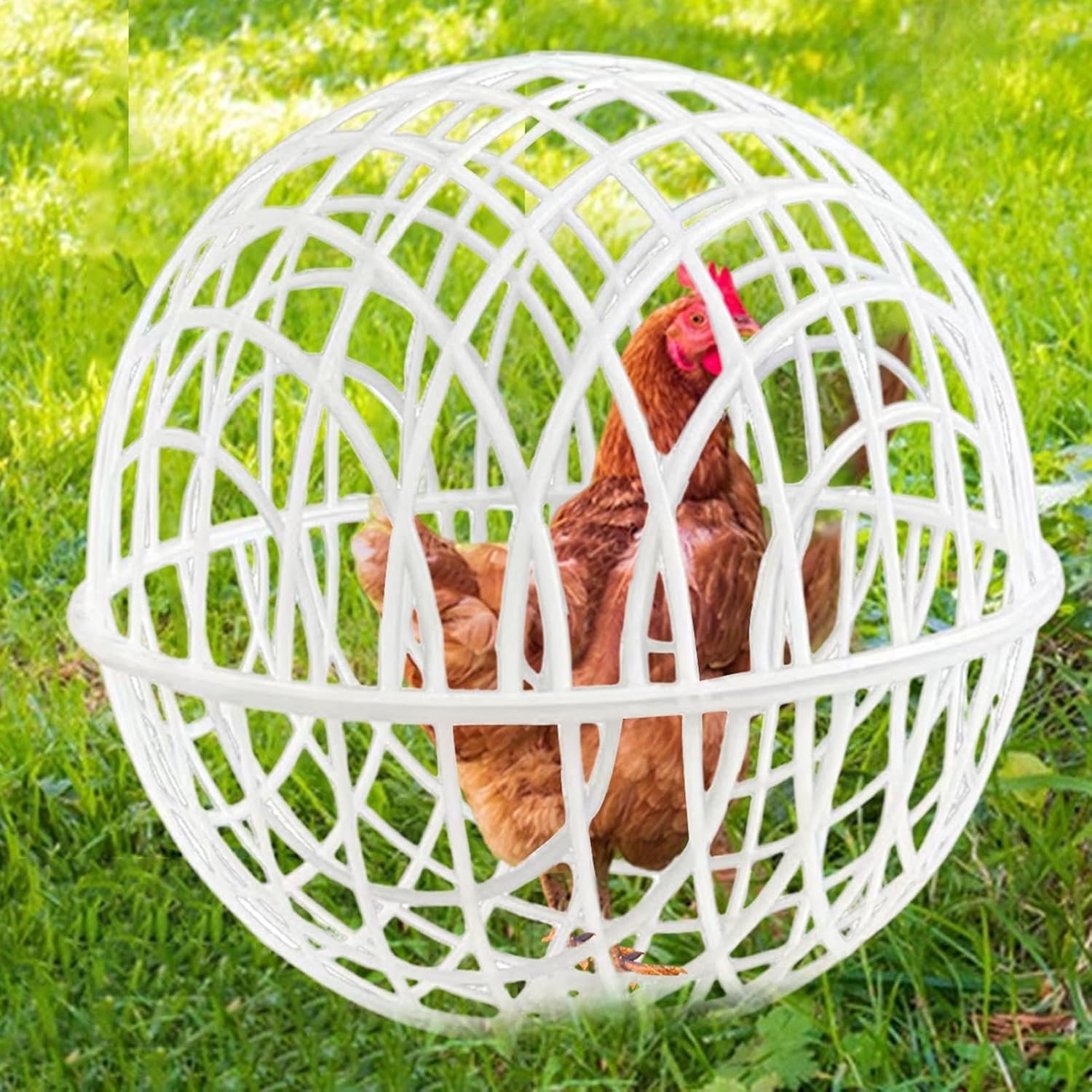 Ball Cage for Chickens,Movable 3 Pieces Chicken Orb Ball Cage Pet Safety Chicken Cage - Ball-Shaped Chicken Hamster Ball Cage Safe Walking Net Pigeon Chick Coop for Farms Courtyard