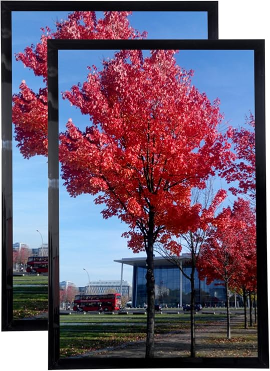 Medog 20x30 Picture Poster Frame Black Set of 2 Pack 20x30