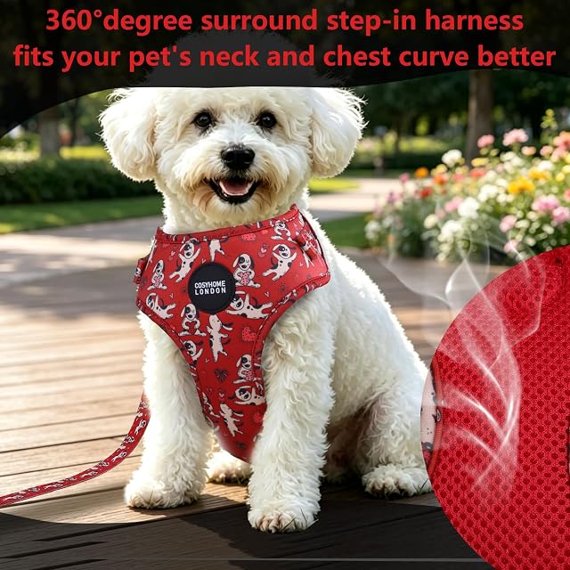 Foto 2 de 8 de COSYHOME LONDON - Arnés para perro, sin tirones, chaleco ajustable para pasear fácilmente, material…