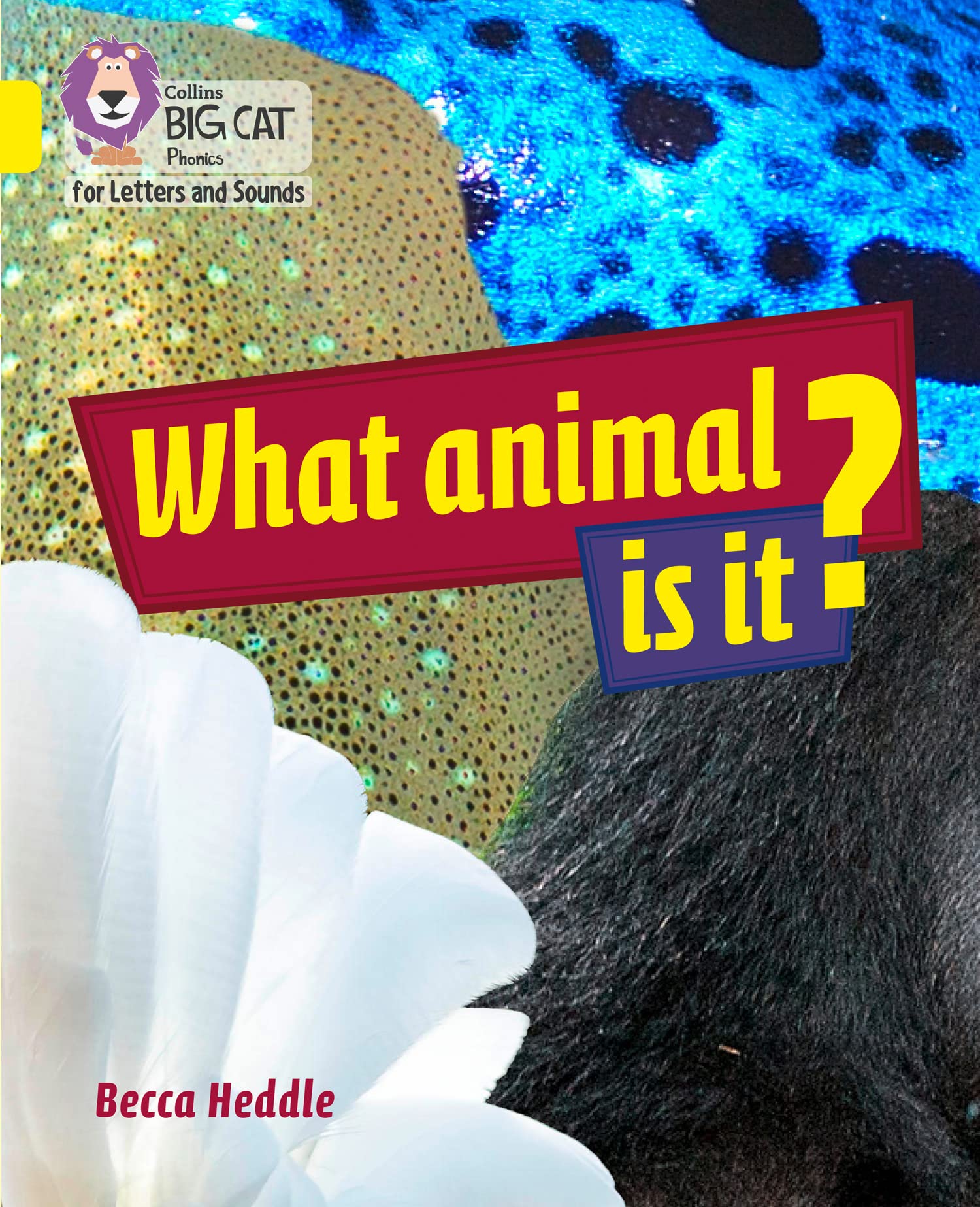 What Animal is It?: Band 03/Yellow (Collins Big Cat Phonics for Letters and Sounds)