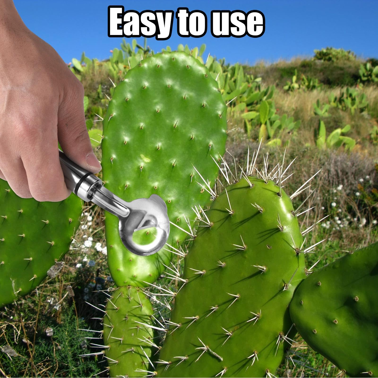 Cuillère à éplucher Les Cactus En Acier Inoxydable - Outil Multifonction Pour Cuisine Et Jardinage