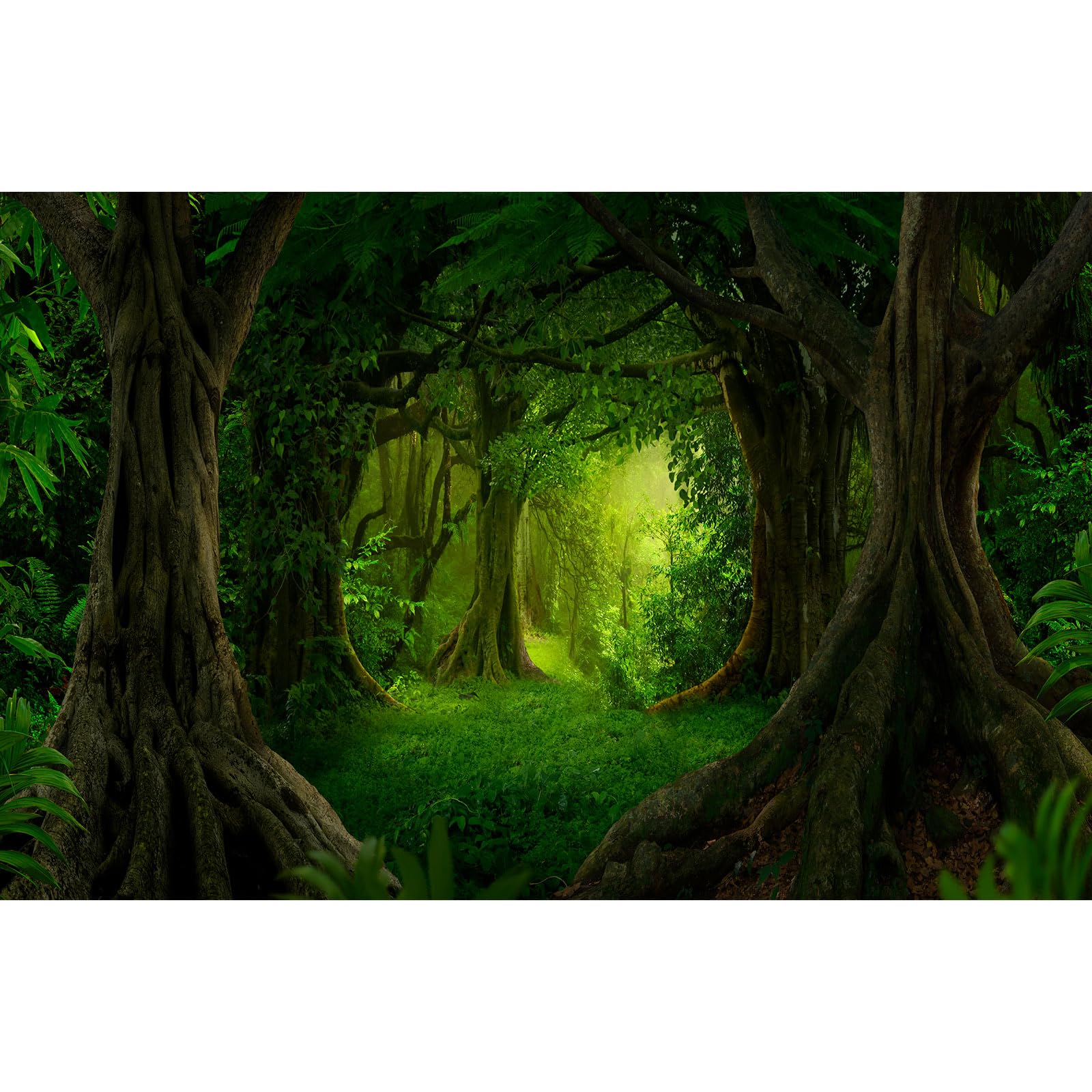 Forest Aquarium Background Lush Green Rainforest Natural Landscape Fish Tank Background Tropical Jungle Forest with Sunbeams Old Trees Reptile Tank Enclosure Backgrounds Wallpaper 36x24in