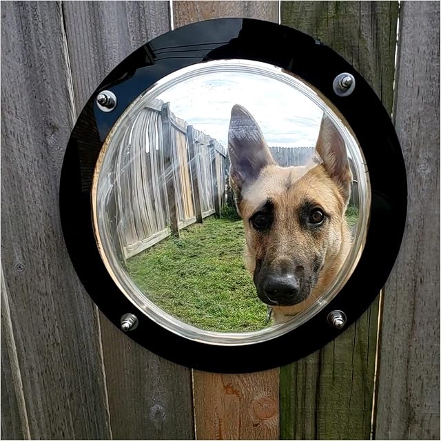 Dog Window, 1 pack Pet Dog Fence Bubble Window Peek Clear View Ø31.5cm