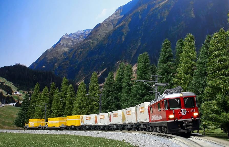 KATO 10-1731 レーティッシュ鉄道 コンテナ貨物列車8両セット 8116laZML-L._UF894,1000_QL80_.jpg