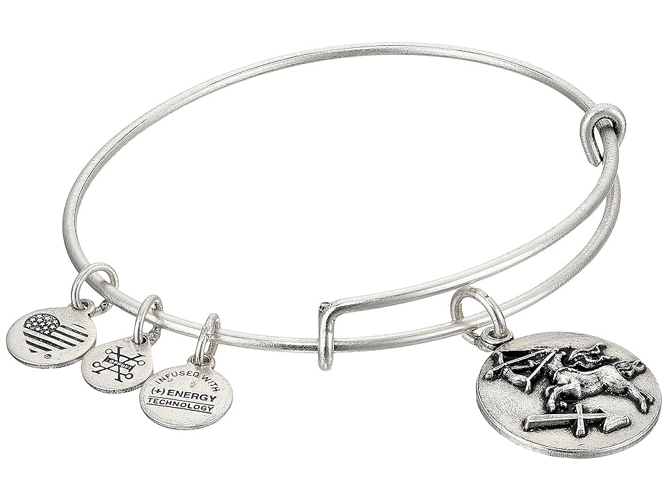 

Alex and Ani Sagittarius III (Rafaelian Silver) Bracelet