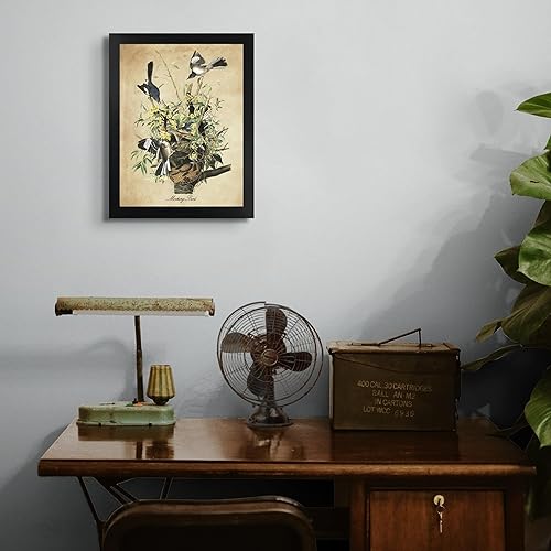 Vista 348 de Towee Bunting by James Audubon - Marco biselado negro de 12 x 16 pulgadas, decoración artística enmarcada para pared, reproducción de pinturas