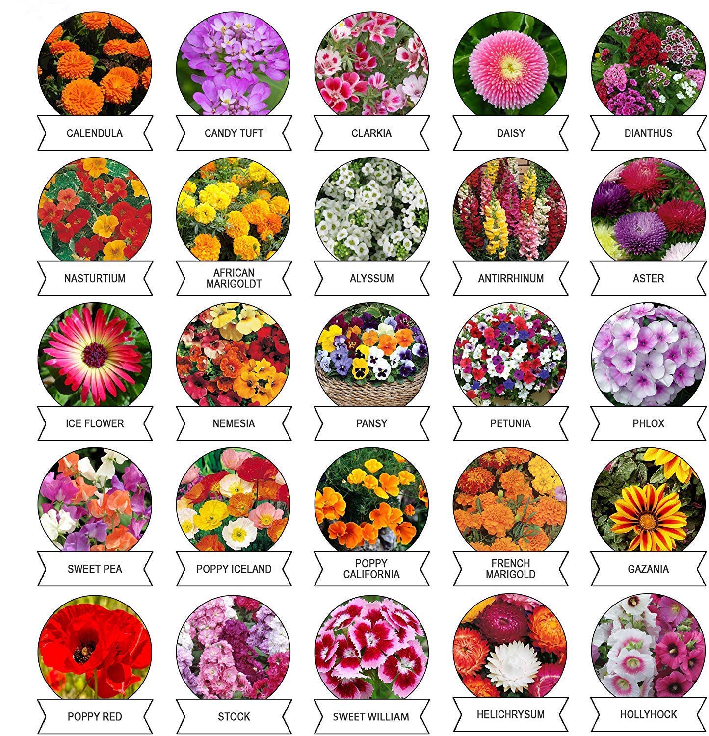 Afflorance® Mega Combo Seeds Pack 75+ Variety, (Includes 40 Different Flower Seeds Variety and 35 Different Vegetable Seeds Variety) Universal Economical Seeds Pack for Home and Terrace Garden. (B083RXNL9K) Amazon Price History, Amazon Price Tracker