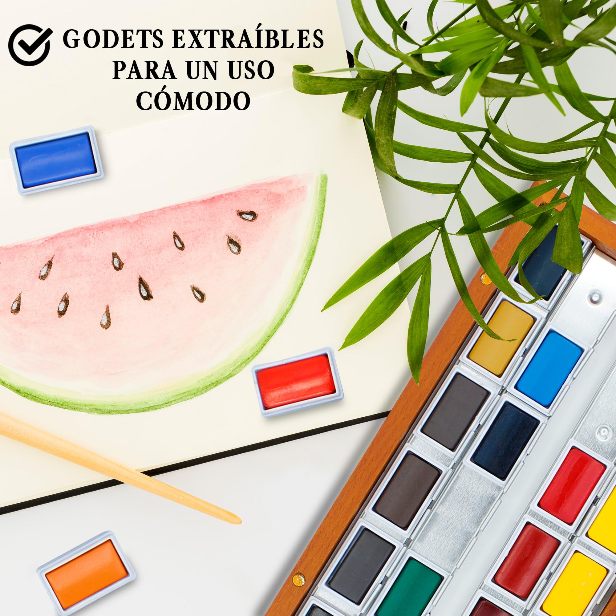 Pinturale Acuarelas Profesionales de Alta Pigmentación | Set Acuarelas Profesional | Incluye 24 Colores Grandes, Caja de Madera y Paño | Acuarelas Calidad Artista