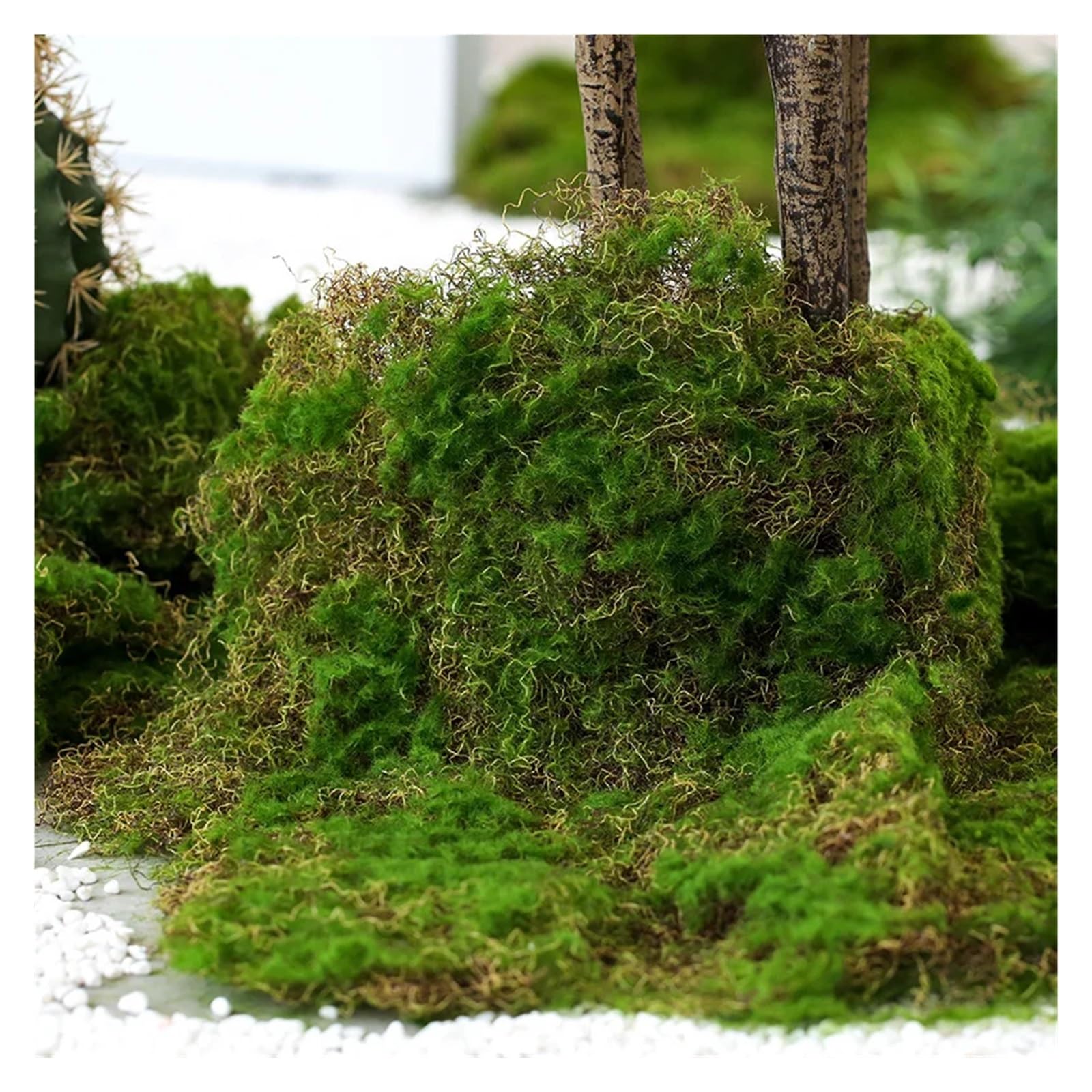 Musgo Artificial Césped Artificial de Musgo de 50 x 50 cm for jardín, decoración del hogar, Pared, Flores, Accesorios de micropaisajismo.(20cmx20cm)