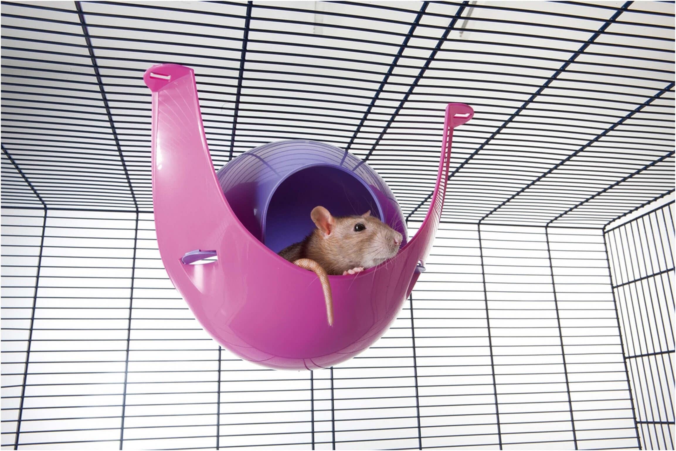 ハムスター ネズミ 小動物用飼育ケージセット ハウス家 おもちゃ 三色(ピンク) Amazon | Xpossible ハムスターケージ 透明 ハムスターハウス 【3階