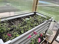 Review Image by catherine pence