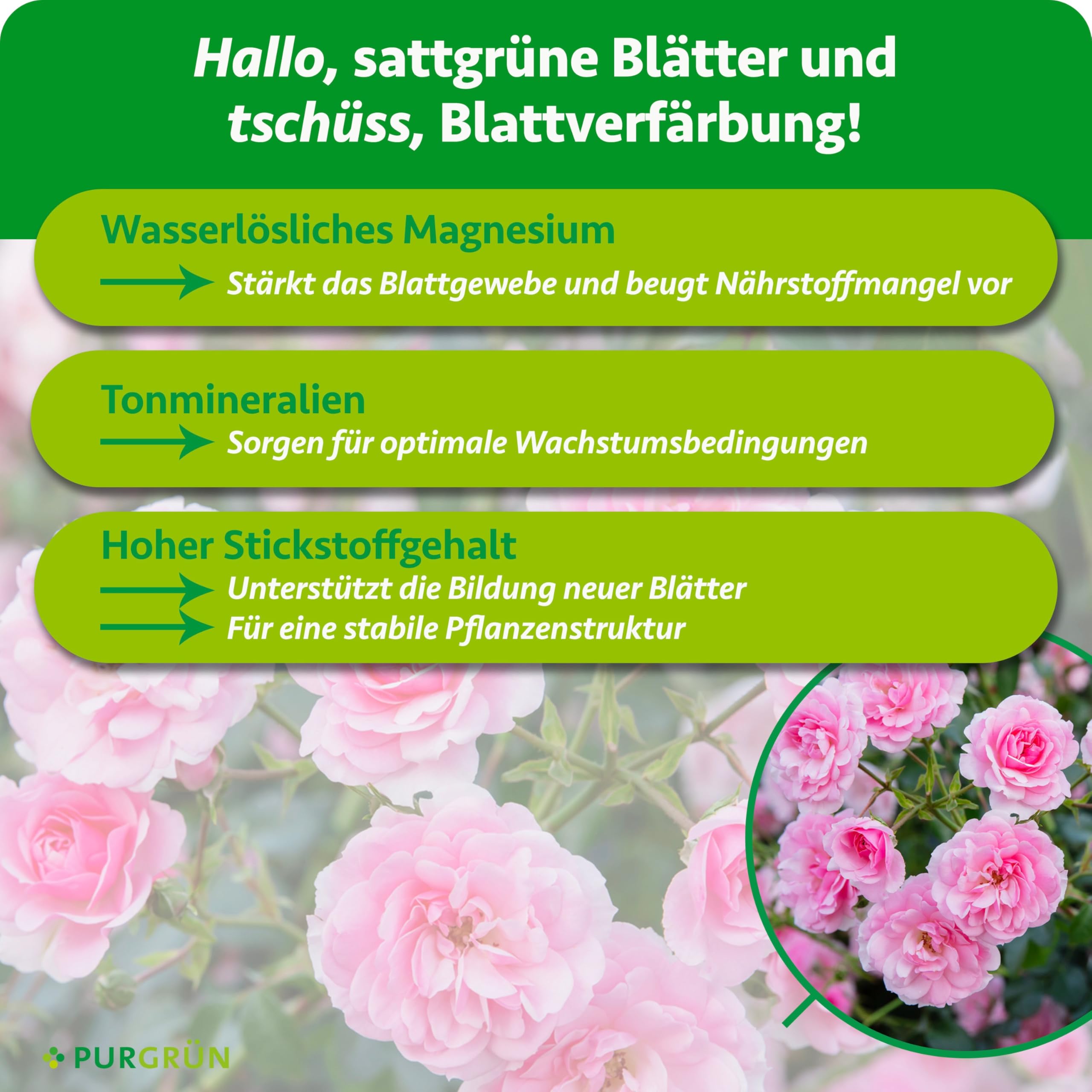 Rosendünger 1 kg – Organisch-mineralische Rezeptur – Feinkörniges Krümelgranulat – NPK 9+4+8 – Extra Magnesium für prächtige Blüten – Verbessert die Bodenqualität – Für gesunde Rosen