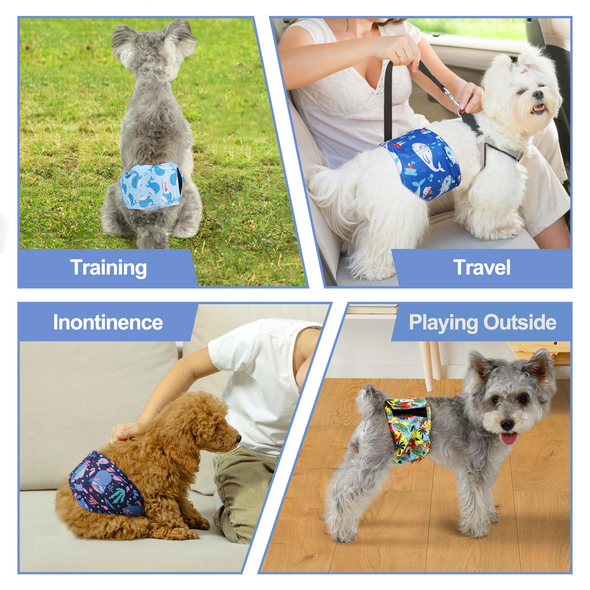Paquete de 5 pañales para perros machos, reutilizables, bandas para el vientre de alta calidad para perros, envolturas de orina para perros machos en incontinencia o micción emocionante, Hawaii XL