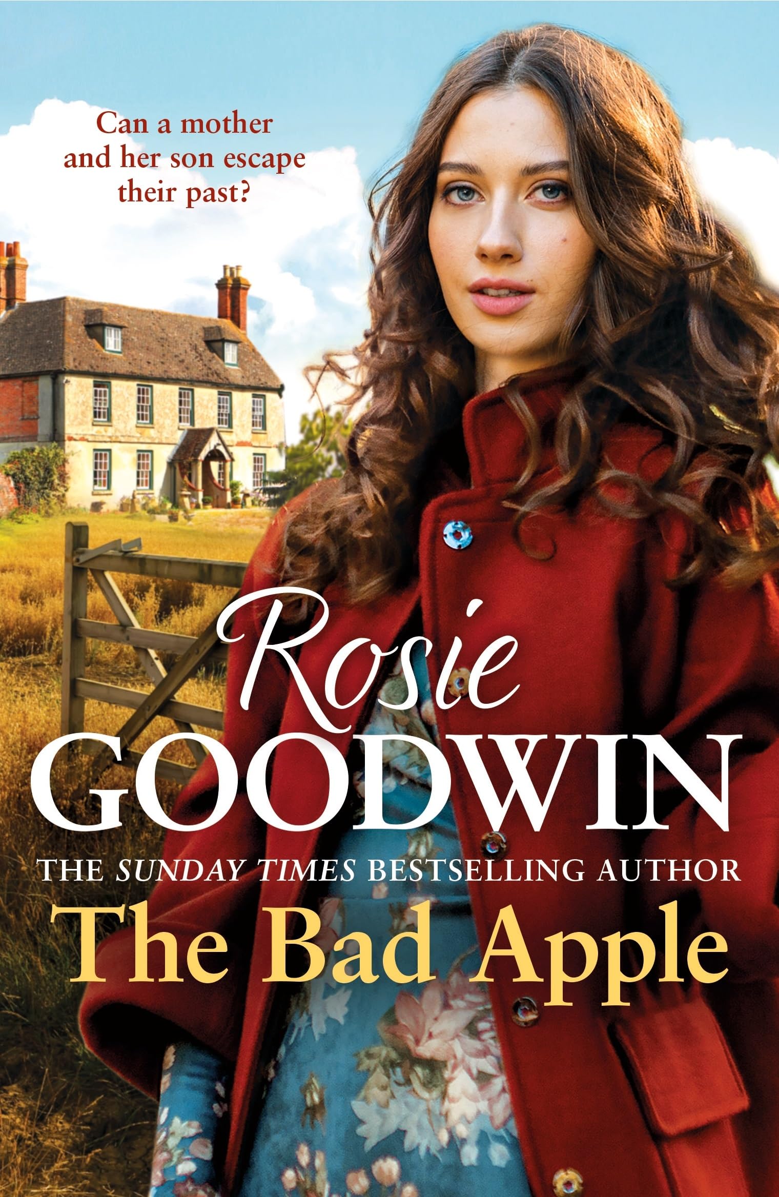 Rosie Goodwin The Bad Apple Paperback Book