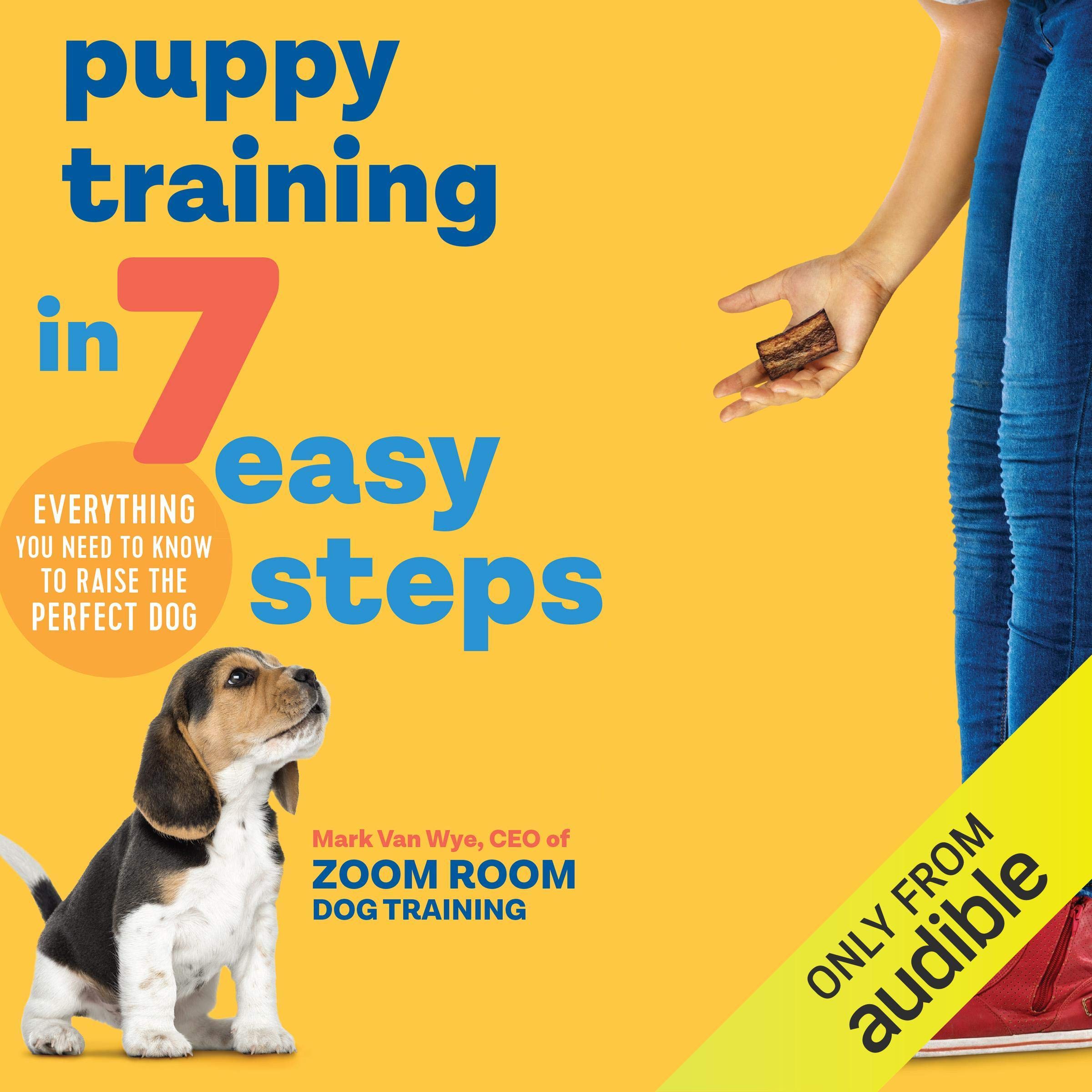 Puppy Training in 7 Easy Steps