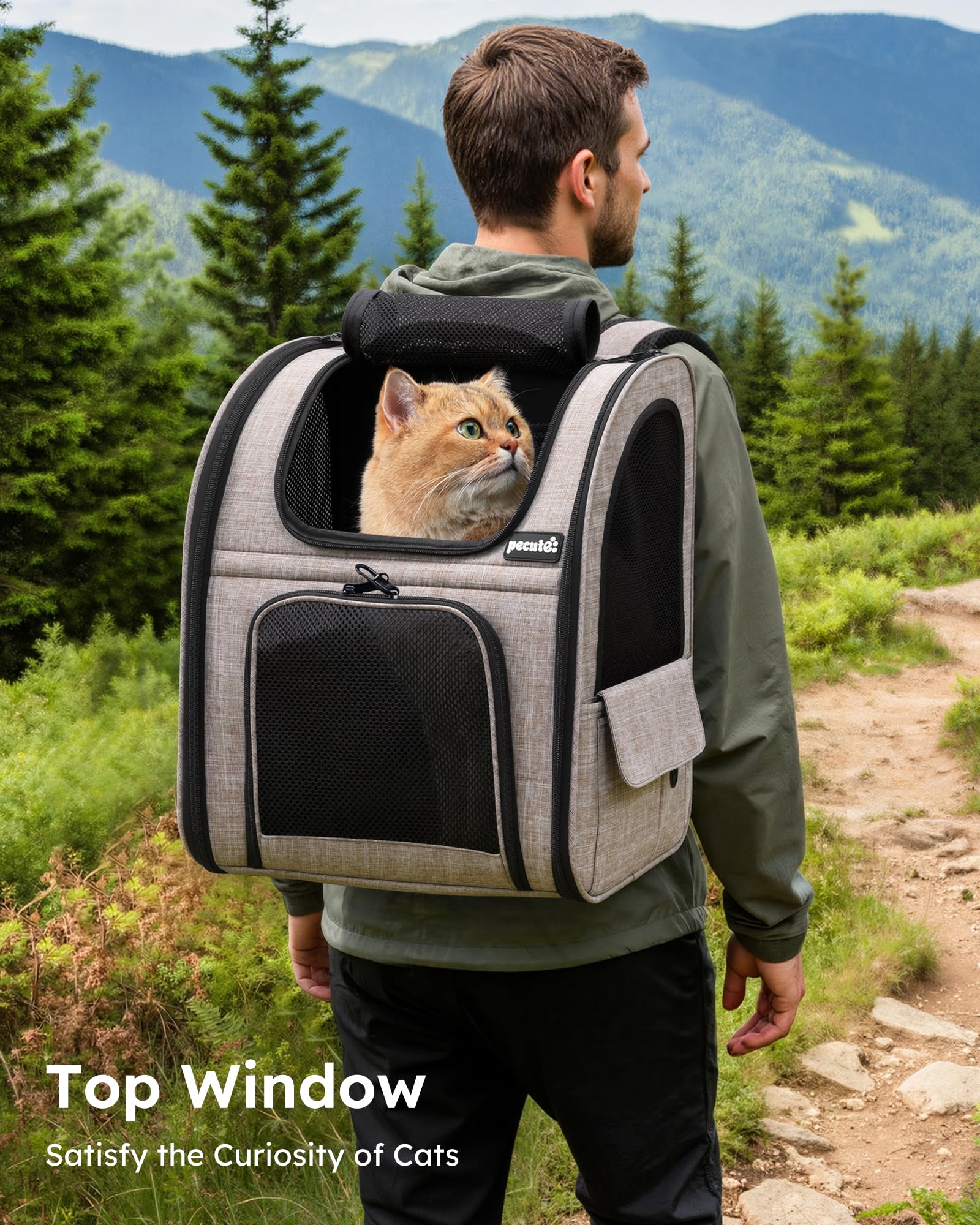 https://m.media-amazon.com/images/I/8117MwNq5HL.jpg