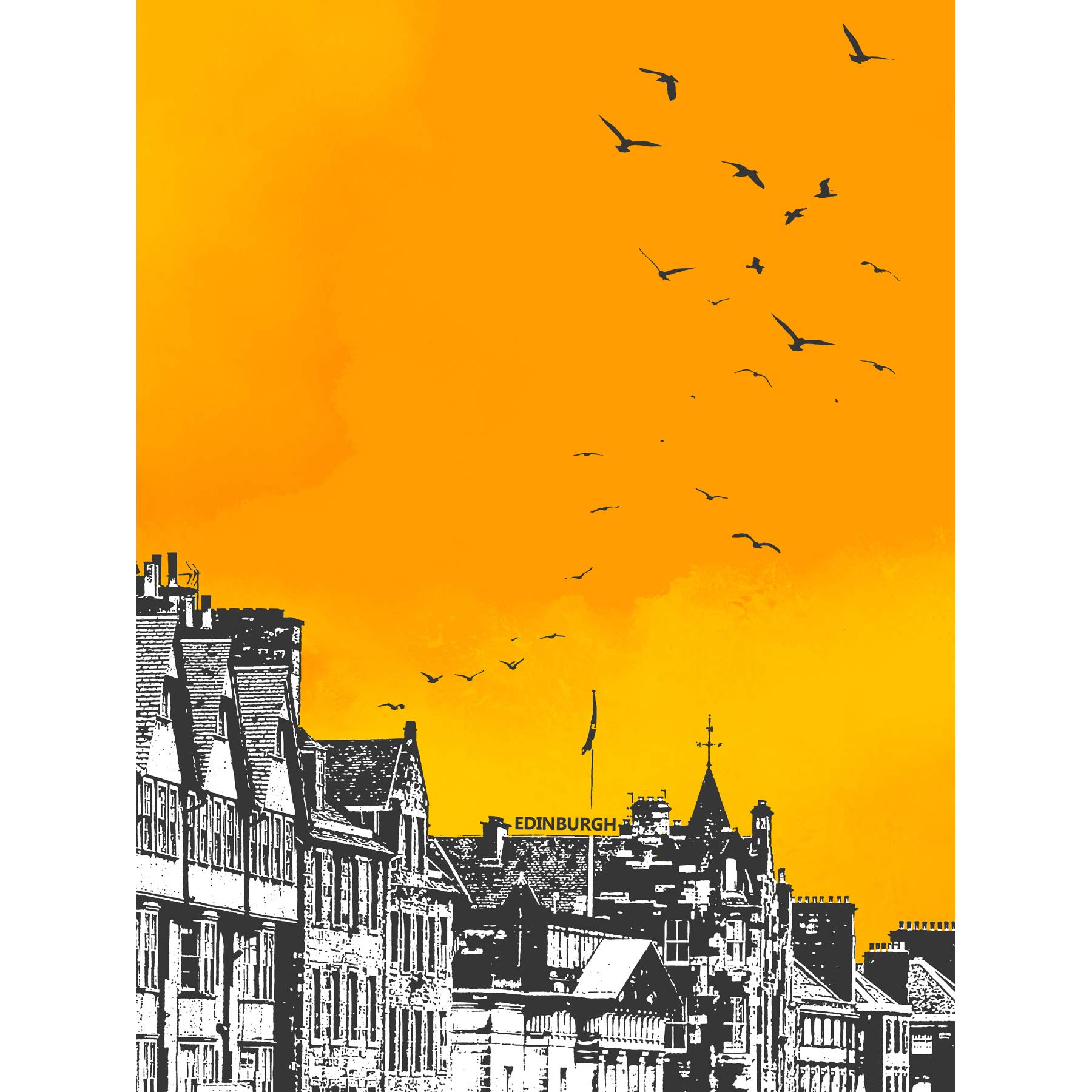 Wee Blue Coo Rooftop Birds Edinburgh Large Wall Art Print 18X24