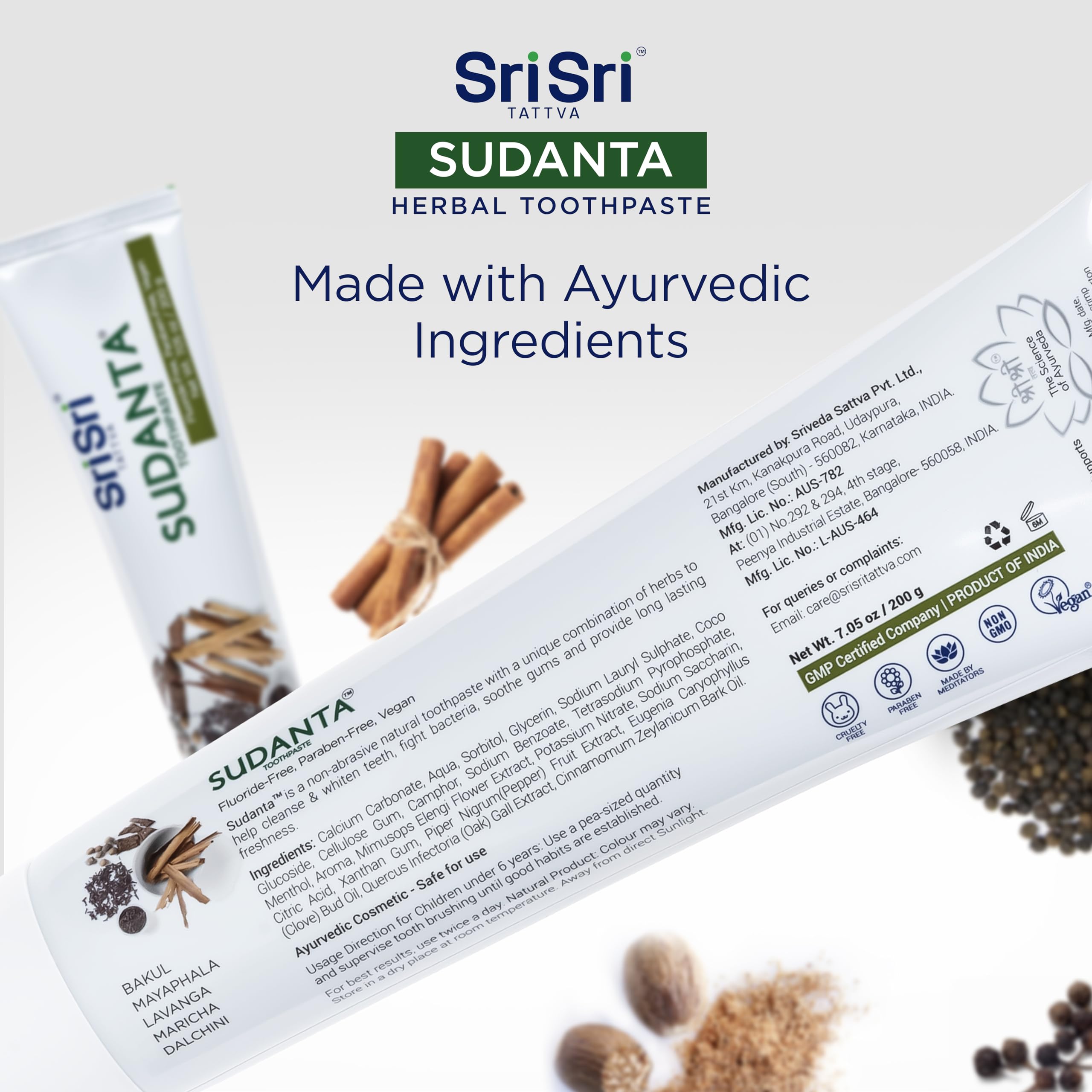 Sri Sri Tattva Sudanta Activated Charcoal Toothpaste Gel for Teeth Whitening, Healthy Gums, and Fresh Breath - All Natural Fluoride Free Toothpaste for Oral Care Without Sensitivity, 100g (2 Pack)