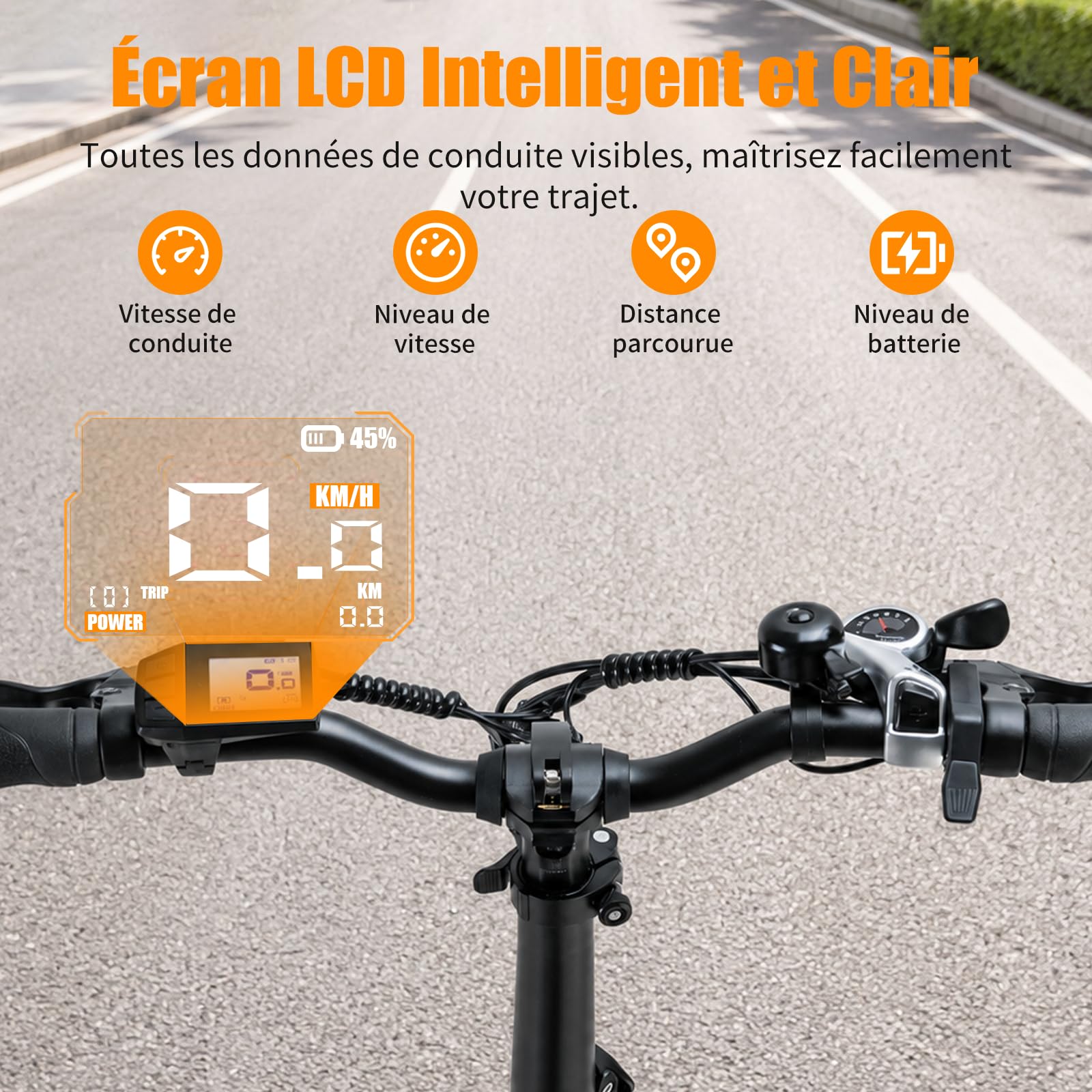 20F213 Vélo Électrique Pliable, E-Bike à Gros Pneus, Moteur 250W, Batterie Amovible 36V 14.5Ah, Autonomie 110 km, 7 Vitesses, IPX7